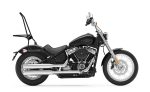 Iron Born Blade 25" Sissy Bar with Foldable Luggage Rack for Harley Softail Standard FXST Matte Black - Image 2