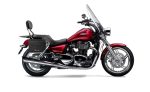 10L - Patriot Small Triumph Thunderbird SE Throw Over Saddlebags - Image 2