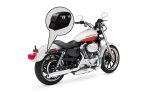 Viking Saddlebags Quick Disconnect System For Triumph Big Bore 1700 - Image 2