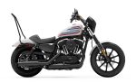 Iron Born Blade 25" Sissy Bar for Harley Sportster Iron 1200 Matte Black - Image 2